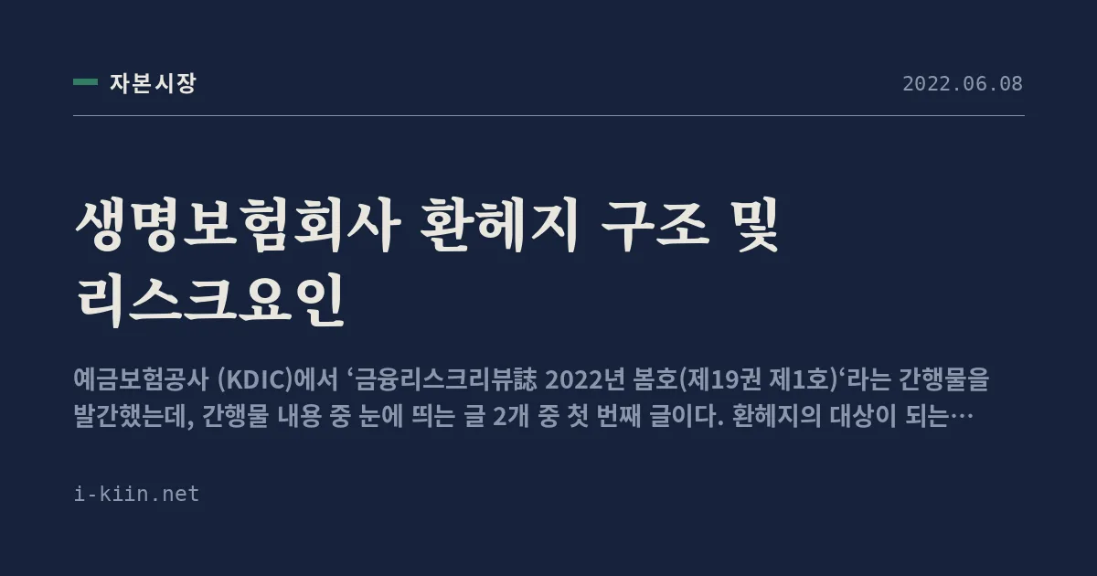 생명보험회사 환헤지 구조 및 리스크요인