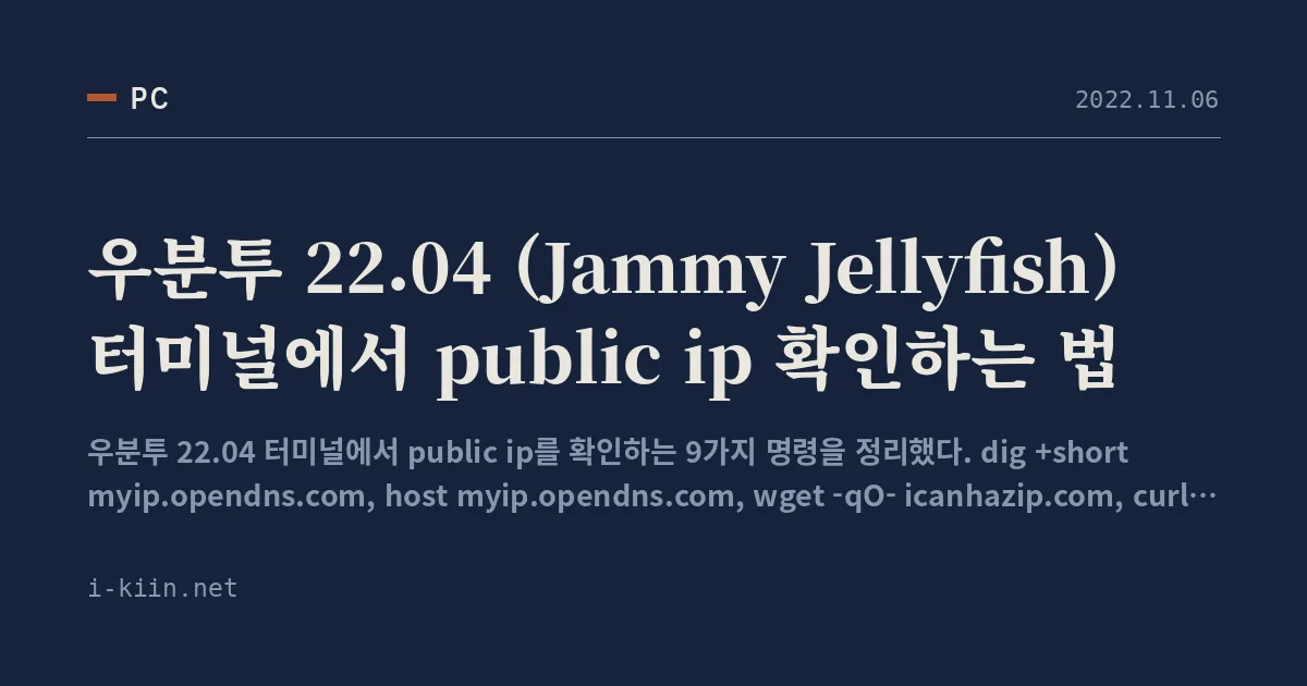 우분투 22.04 (Jammy Jellyfish) 터미널에서 public ip 확인하는 법