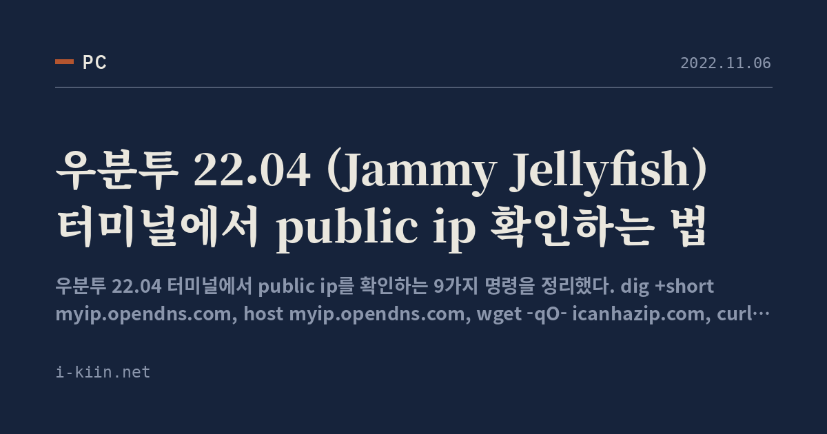 우분투 22.04 (Jammy Jellyfish) 터미널에서 public ip 확인하는 법